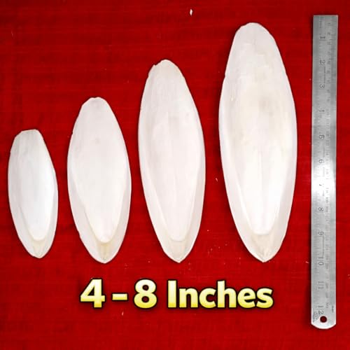 Cuttlefish Bone for Birds -150