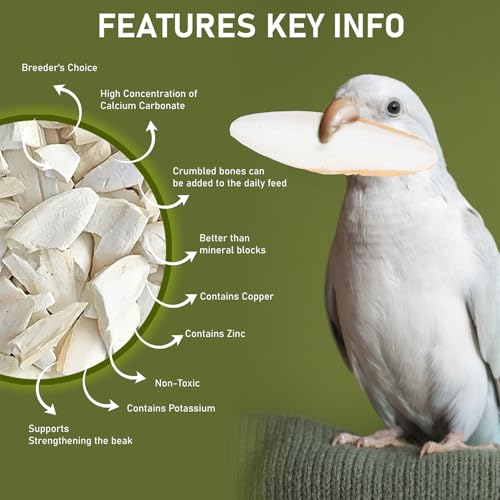 Cuttlefish Bone for Birds -150