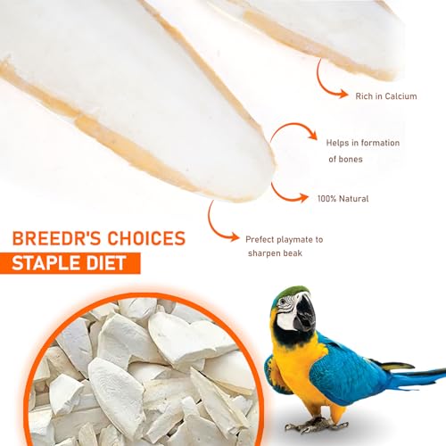Cuttlefish Bone for Birds -150