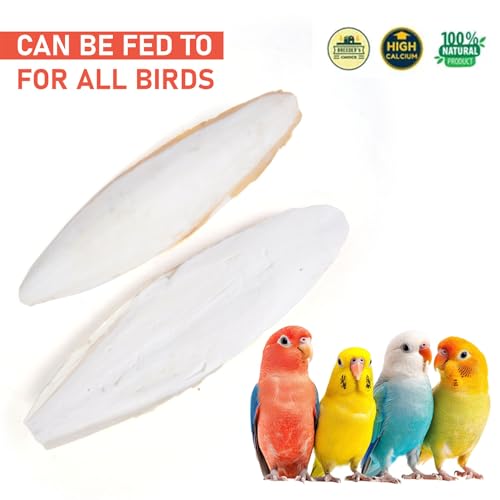 Cuttlefish Bone for Birds -150
