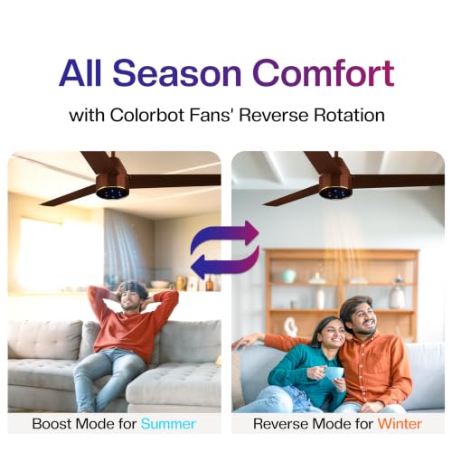 Colorbot Knoxx BLDC Ceiling Fans
