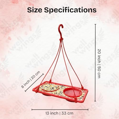2-in-1 Dana Pani Bird Feeder