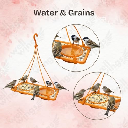 2-in-1 Dana Pani Bird Feeder