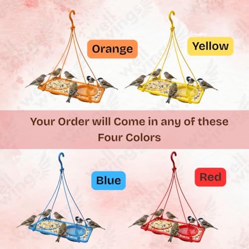 2-in-1 Dana Pani Bird Feeder