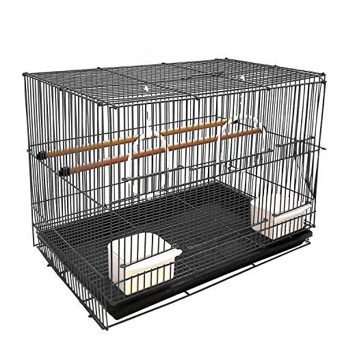 Aakriti Bird Cage Best