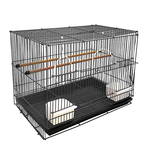 Aakriti Bird Cage Best
