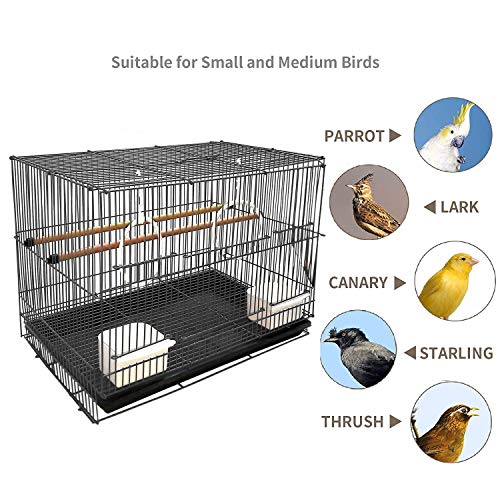 Aakriti Bird Cage Best