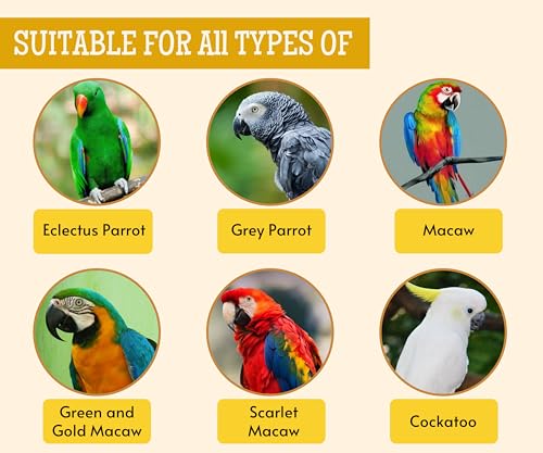 Foodie Puppies Parrot Bird Food