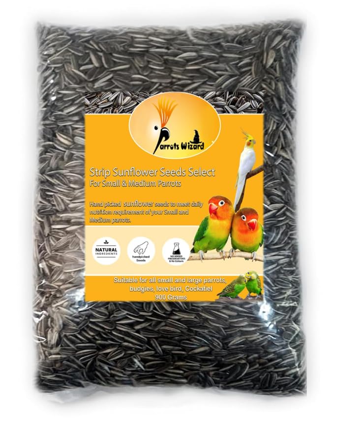 All Life Stages Dry Bird Food Small Size Sunflower Seeds for Bird 900 Grams