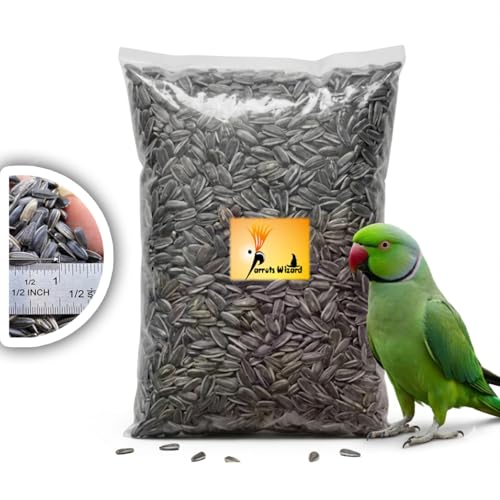 All Life Stages Dry Bird