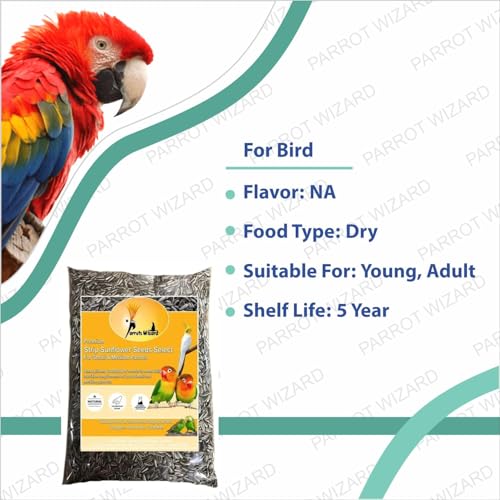 All Life Stages Dry Bird