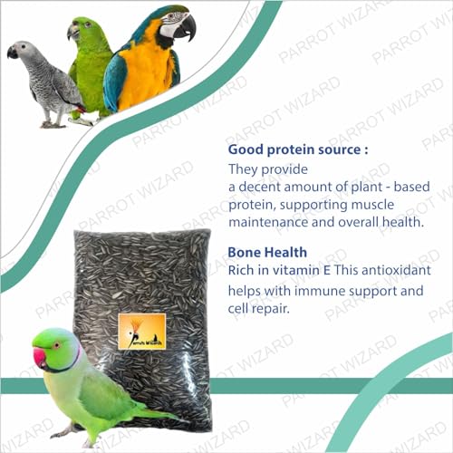 All Life Stages Dry Bird