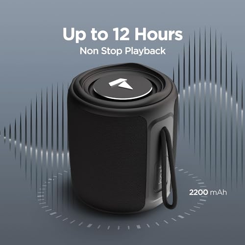 boAt Stone 350 Bluetooth Speaker