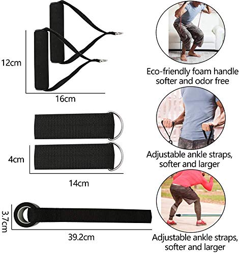 Fashnex Resistance Bands Set