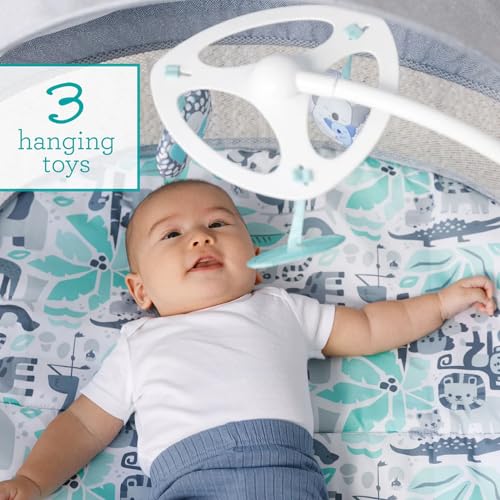 Infantino Sweet Dreams Fold &