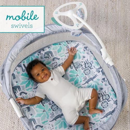 Infantino Sweet Dreams Fold &