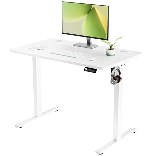 ERGOMAKER Electric Standing Desk 100x60cm
