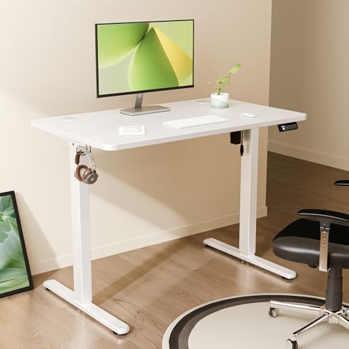 ERGOMAKER Electric Standing Desk 100x60cm