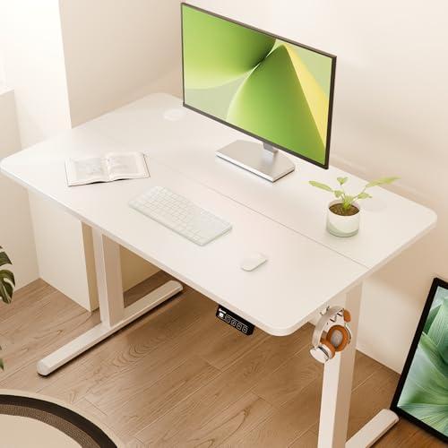 ERGOMAKER Electric Standing Desk 100x60cm