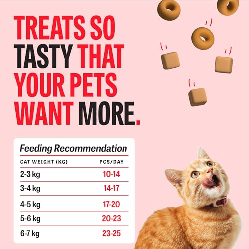 Petcrux Cat Treats Gift Box