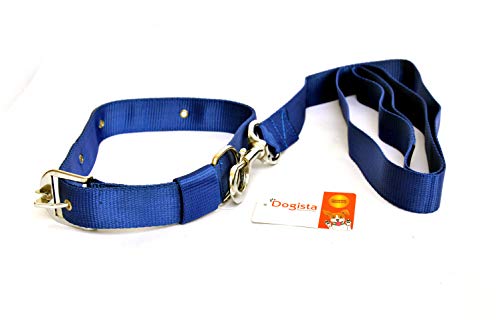Dogista pet Products Nylon Dog