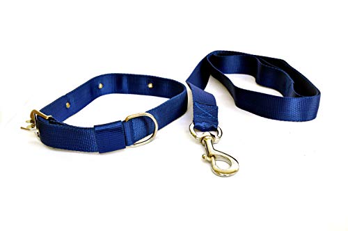 Dogista pet Products Nylon Dog