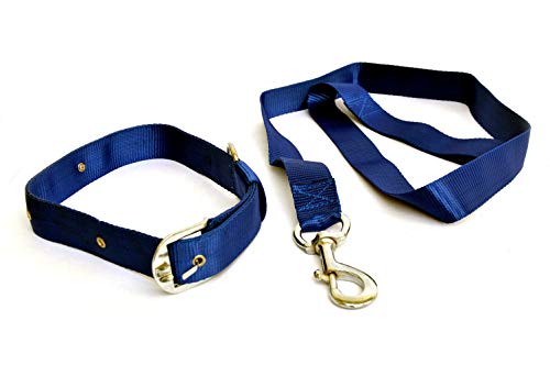 Dogista pet Products Nylon Dog