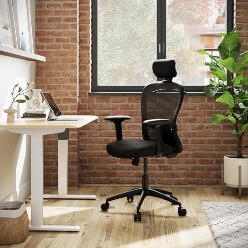 Wakefit Safari Ergonomic Office Chair
