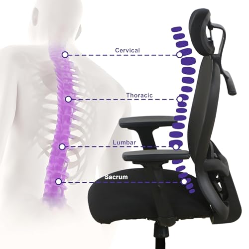 Wakefit Safari Ergonomic Office Chair