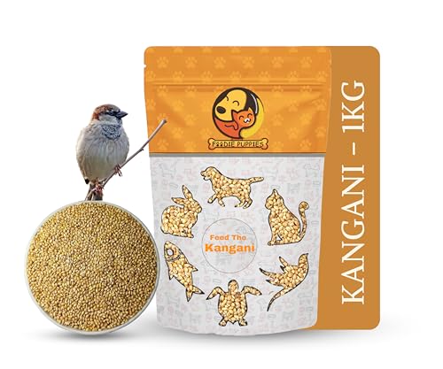 Foodie Puppies Foxtail Millet Kangni