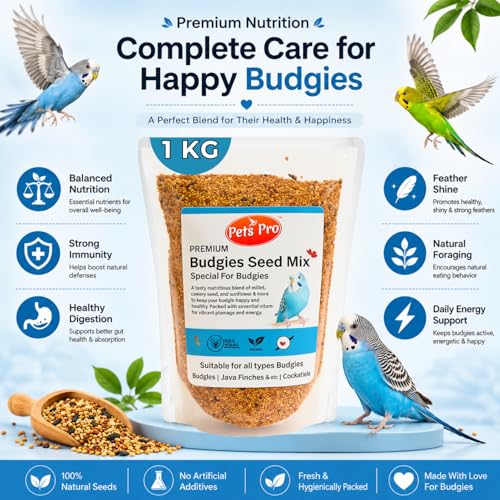Premium Budgies Food Seed Mix