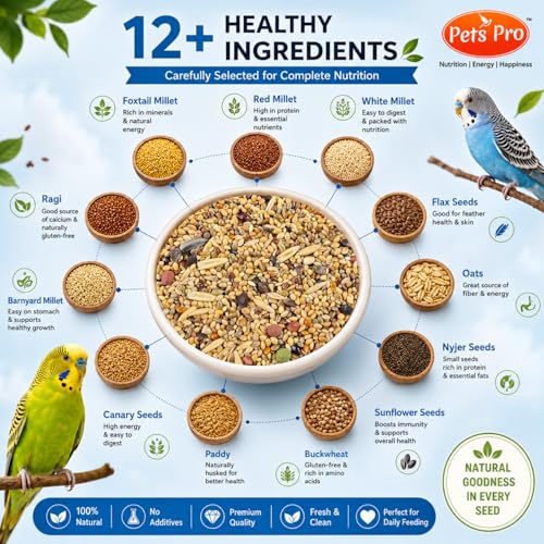 Premium Budgies Food Seed Mix
