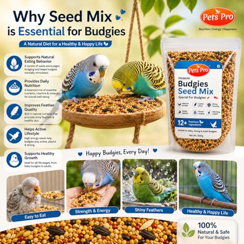 Premium Budgies Food Seed Mix