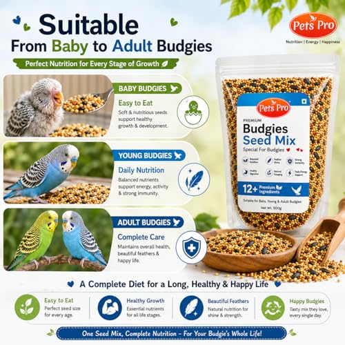 Premium Budgies Food Seed Mix