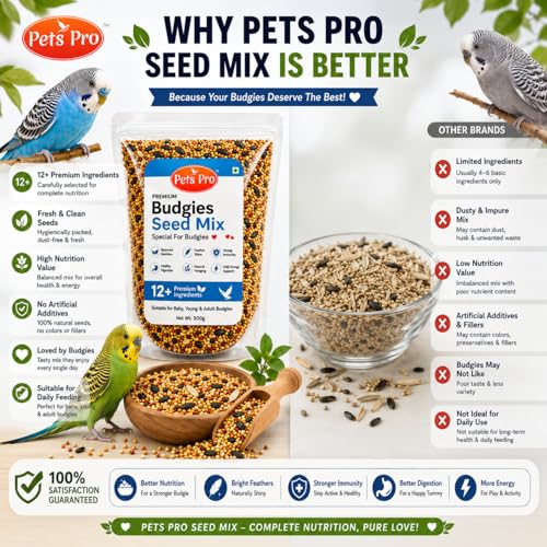 Premium Budgies Food Seed Mix