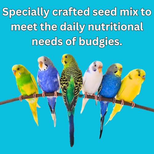 Premium Budgies Food Seed Mix