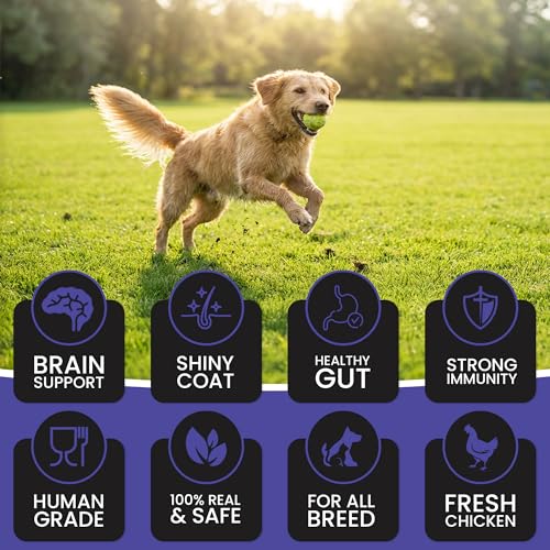 Dr. Pets Pack of 10