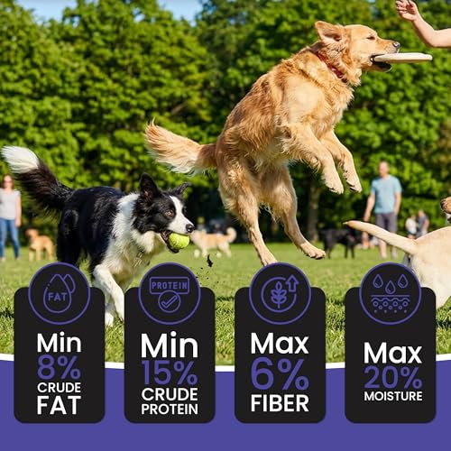 Dr. Pets Pack of 10