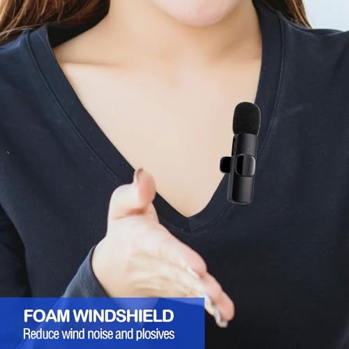 Mini Wireless Furry Windscreen &