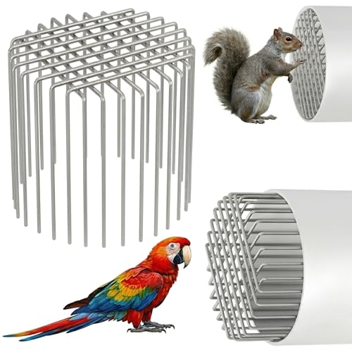 Stainless Steel Drain Pipe Cover