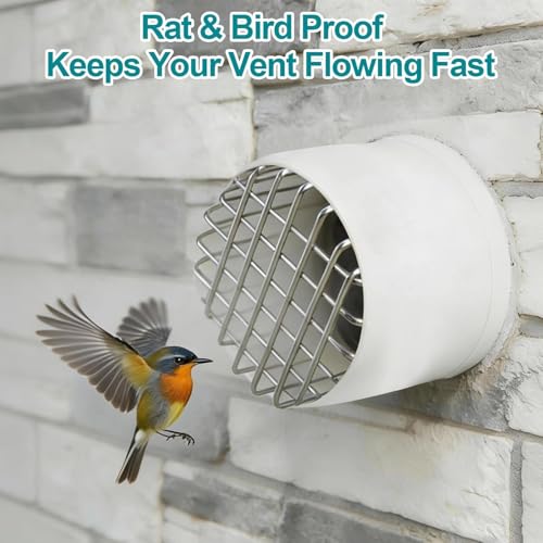 Stainless Steel Drain Pipe Cover