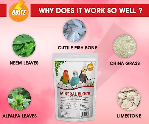 BOLTZ All Life Stages Natural