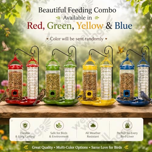 Hanging Bird Feeder for Outdoor