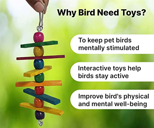 BOLTZ Bird Ladder and Hanging