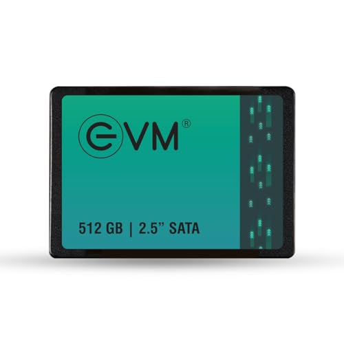 EVM 512GB 2.5 Inch SATA