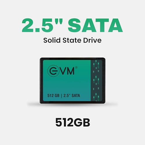 EVM 512GB 2.5 Inch SATA