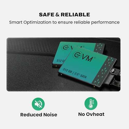 EVM 512GB 2.5 Inch SATA