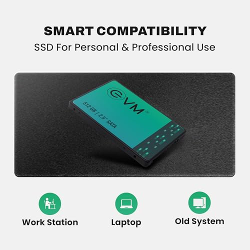 EVM 512GB 2.5 Inch SATA