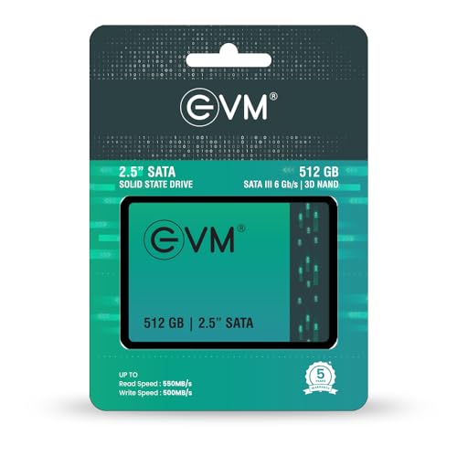 EVM 512GB 2.5 Inch SATA