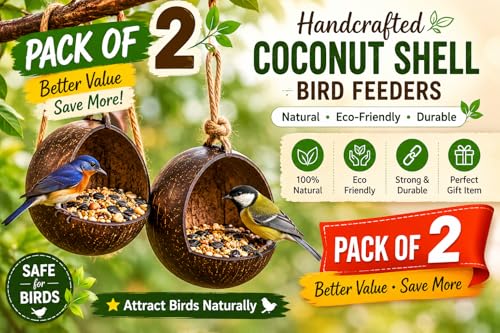 Bird Feeder Natural Coconut Shell Pack of 2 - Image 6